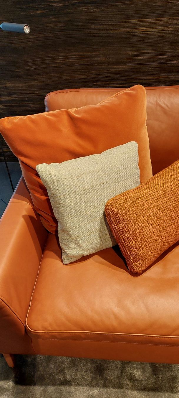 Rolf Benz Divani: Rolf Benz 2-Platz Sofa  Mioko – Nuovo (secondo la descrizione) da Wil SG venduto da GAMMA_Wil 5