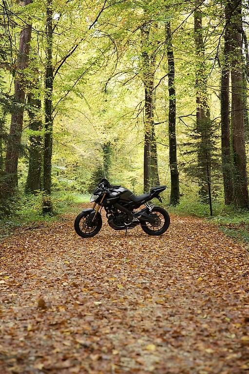 Route: Yamaha Mt-125 ABS – D'occasion à Rodersdorf par eil_5d7n 3