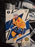 Simon Ryfors HC Davos Playoffs 2025/26 Sportzoo