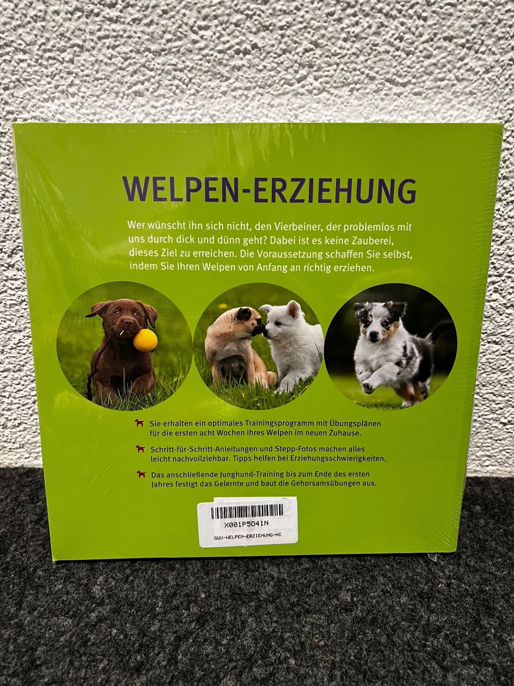 Libri: Buch Welpenerziehung – Nuovo e nell'imballaggio originale da Muri b. Bern venduto da suedamerika1 1