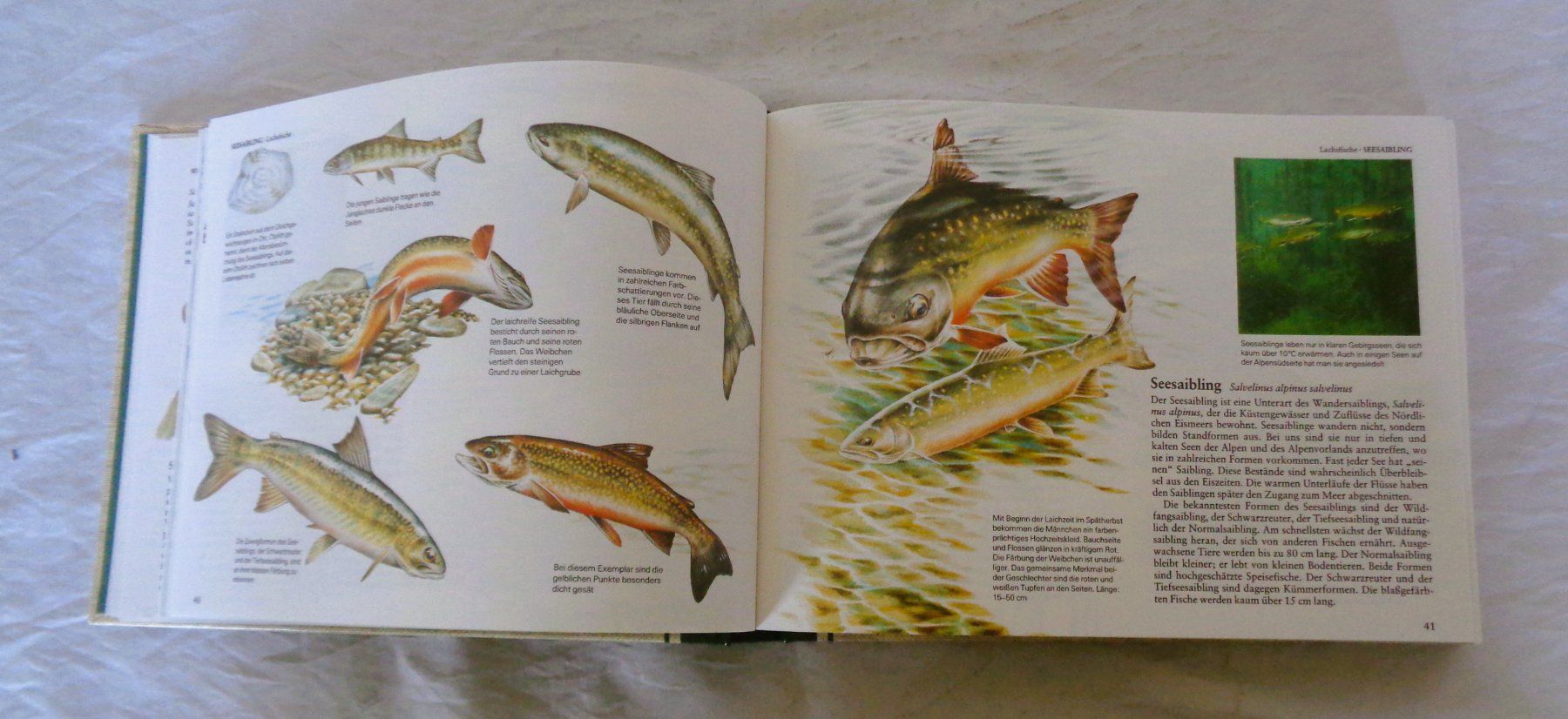 Libri: Fische + andere Wassertiere  Mitteleuropas / Buch 1986 – Usato da Bellach venduto da JingleJerry 4