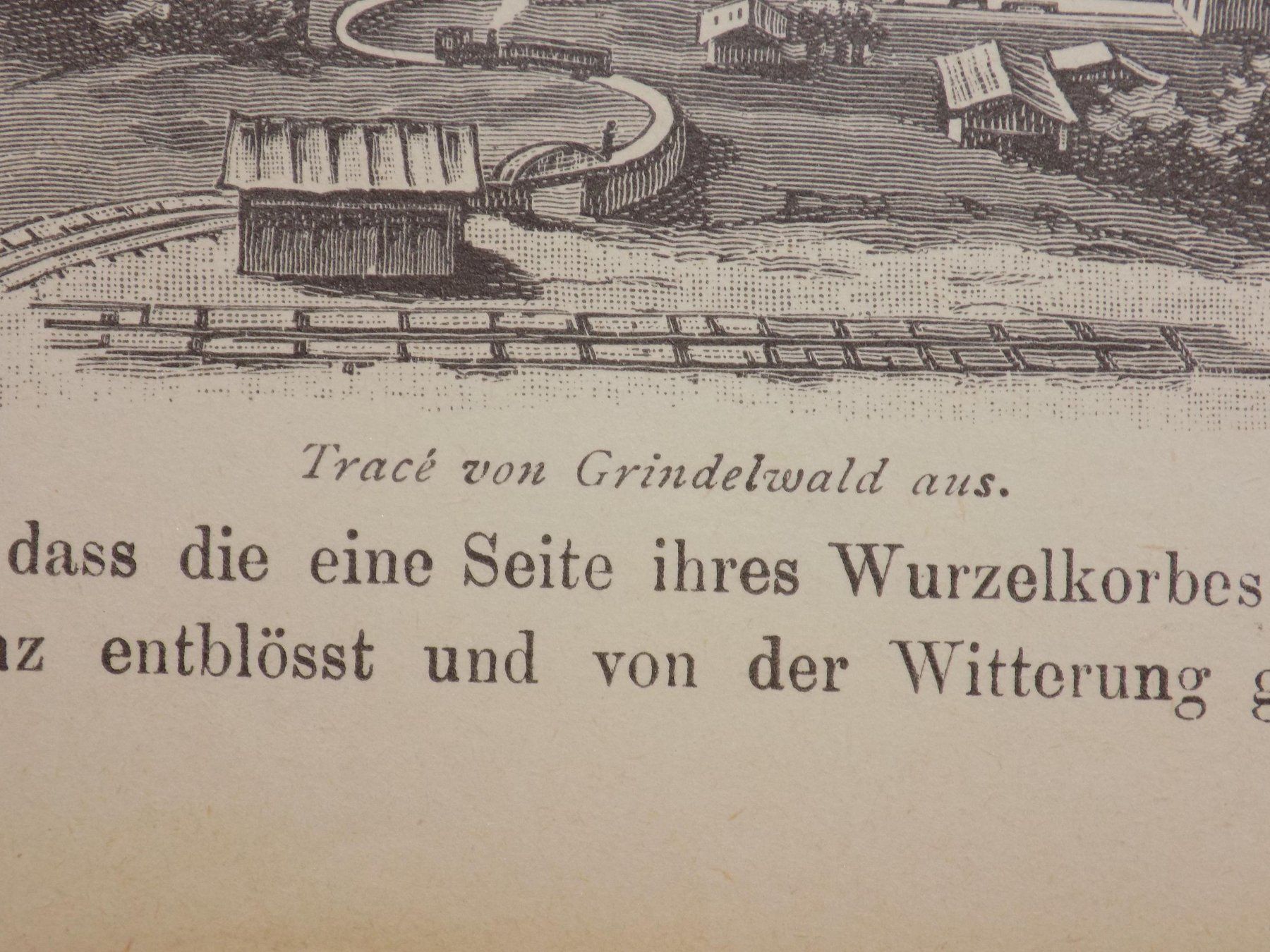 Incisioni: Grindelwald Bahnen – Usato da Risch venduto da Rischli15 3