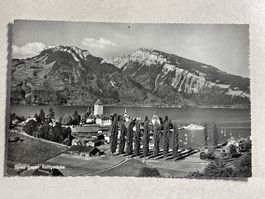 Spiez,Thunersee, vintage Ansichtskarte,