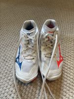 Hallenschuh Mizuno