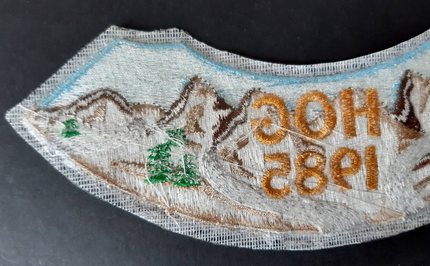 Harley-Davidson Patches: 1985 HARLEY PATCH HOG OWNERS GROUP BIKER – Neu (gemäss Beschreibung) aus Lugano von YouWantUS 5