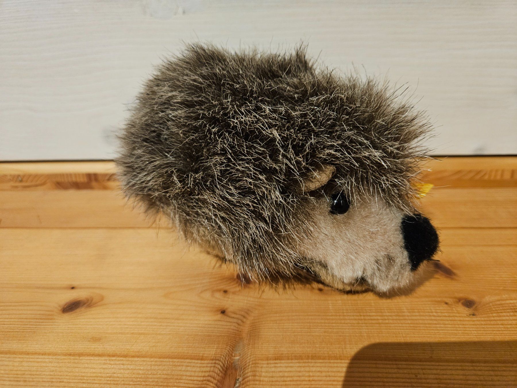 Steiff Giocattoli: NEU Steiff Igel Plüschtier – Usato da Rifferswil venduto da fle_5nqr