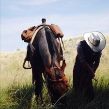 Profile image of LL_Cowgirls