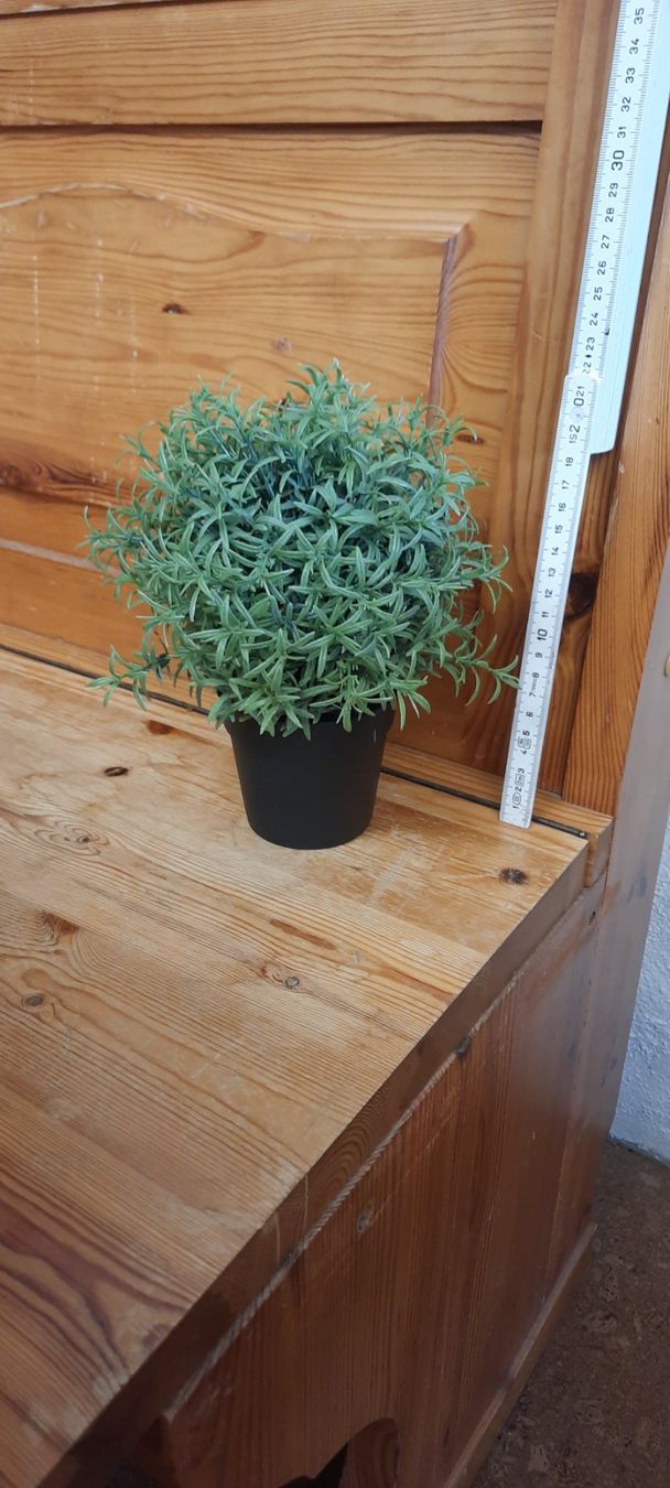 3 knstliche Pflanzen von IKEA (Gebraucht) in Adetswil fr CHF 10  mit  Lieferung auf Ricardo kaufen