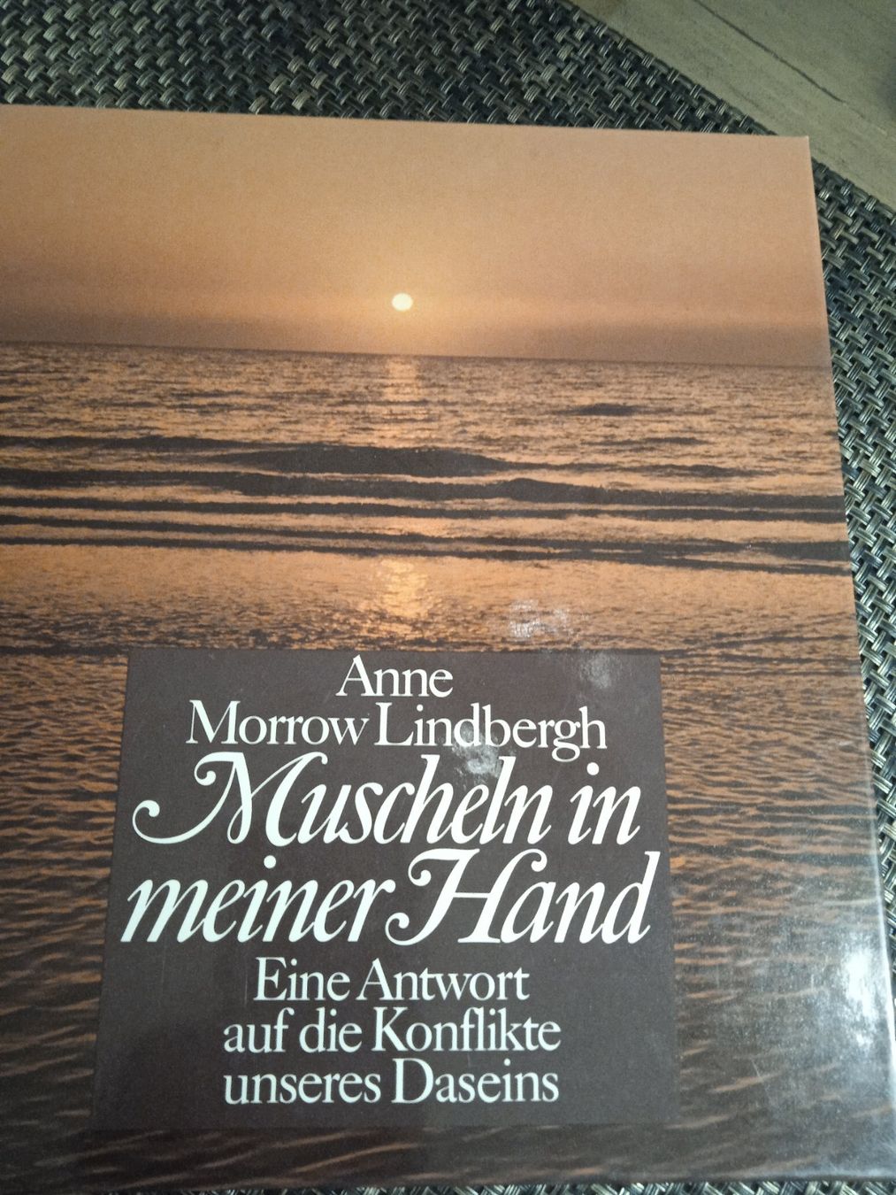 Libri: Muscheln in meiner Hand – Usato da Bassersdorf venduto da elm_f9sw