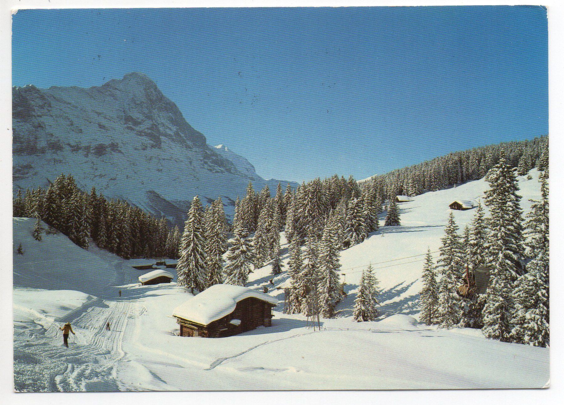 Cartoline postali: GRINDELWALD Wintersport - Ski Firstabfahrt mit Eiger – Usato da Jona venduto da philajona