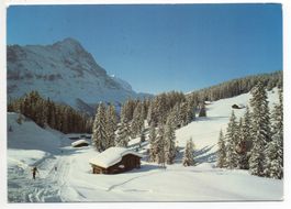 GRINDELWALD Wintersport - Ski Firstabfahrt mit Eiger