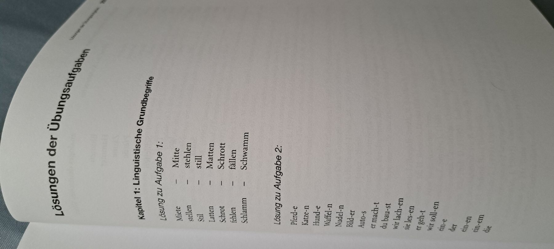 Libri: Gisela Szagun Child Language Development Book - New Edition – Usato da Bern venduto da mahilini 2