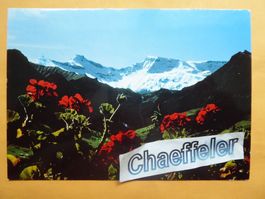 2-28934   bei Adelboden, Berner Oberland