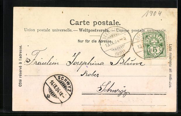 Cartoline postali: AK Seelisberg, Hotel Sonnenberg, 1904 – Usato da Berlin venduto da bartko-reher 1
