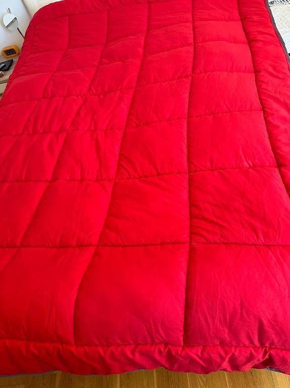 Decken: 2 Zelesta Bettdecke 160x220cm – Gebraucht aus Gersau von lobur57 1