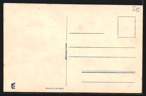 Cartoline postali: AK Weesen, Totalansicht mit Wallensee – Usato da Berlin venduto da bartko-reher 1