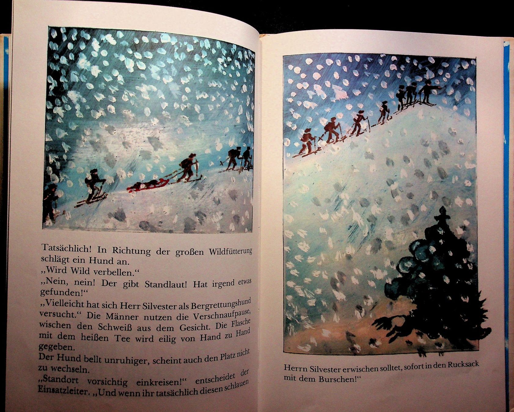 Libri: G. Herold K. Golz Der Silvesterhund – Usato da Reitnau venduto da Zaomir 8