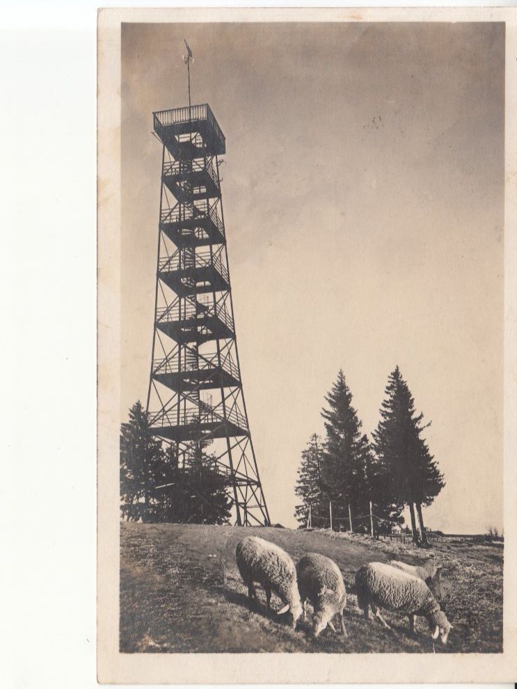 Cartoline postali: Bachtel-Kulm 1925 – Usato da Bürglen TG venduto da StampGraf