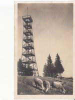 Bachtel-Kulm 1925