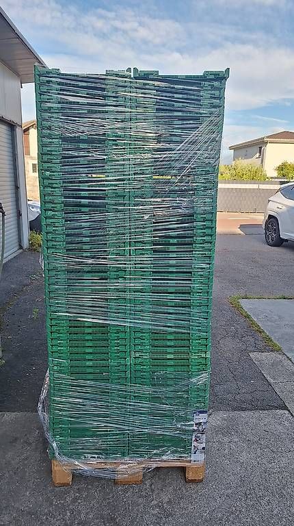 Casse di trasporto: CASSETTE IFCO 10CM GRATIS – Usato da Cugnasco venduto da inf_88vk