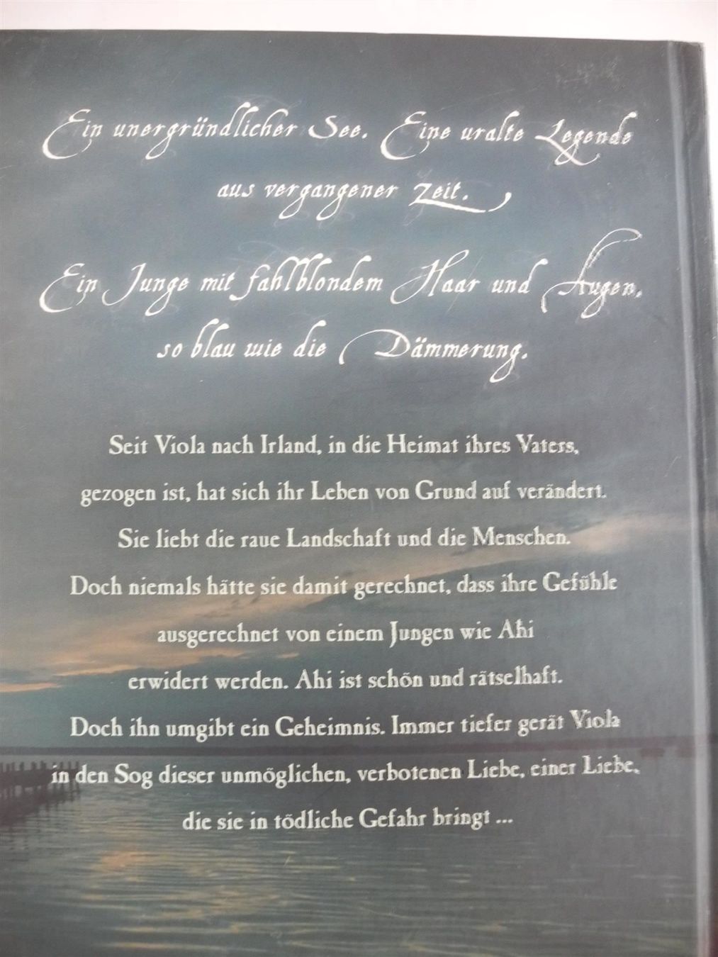 Libri: Riana O'Donnell, Ruf der Dämmerung, d44 – Nuovo (secondo la descrizione) da Kottwil venduto da Crazyrolf 1