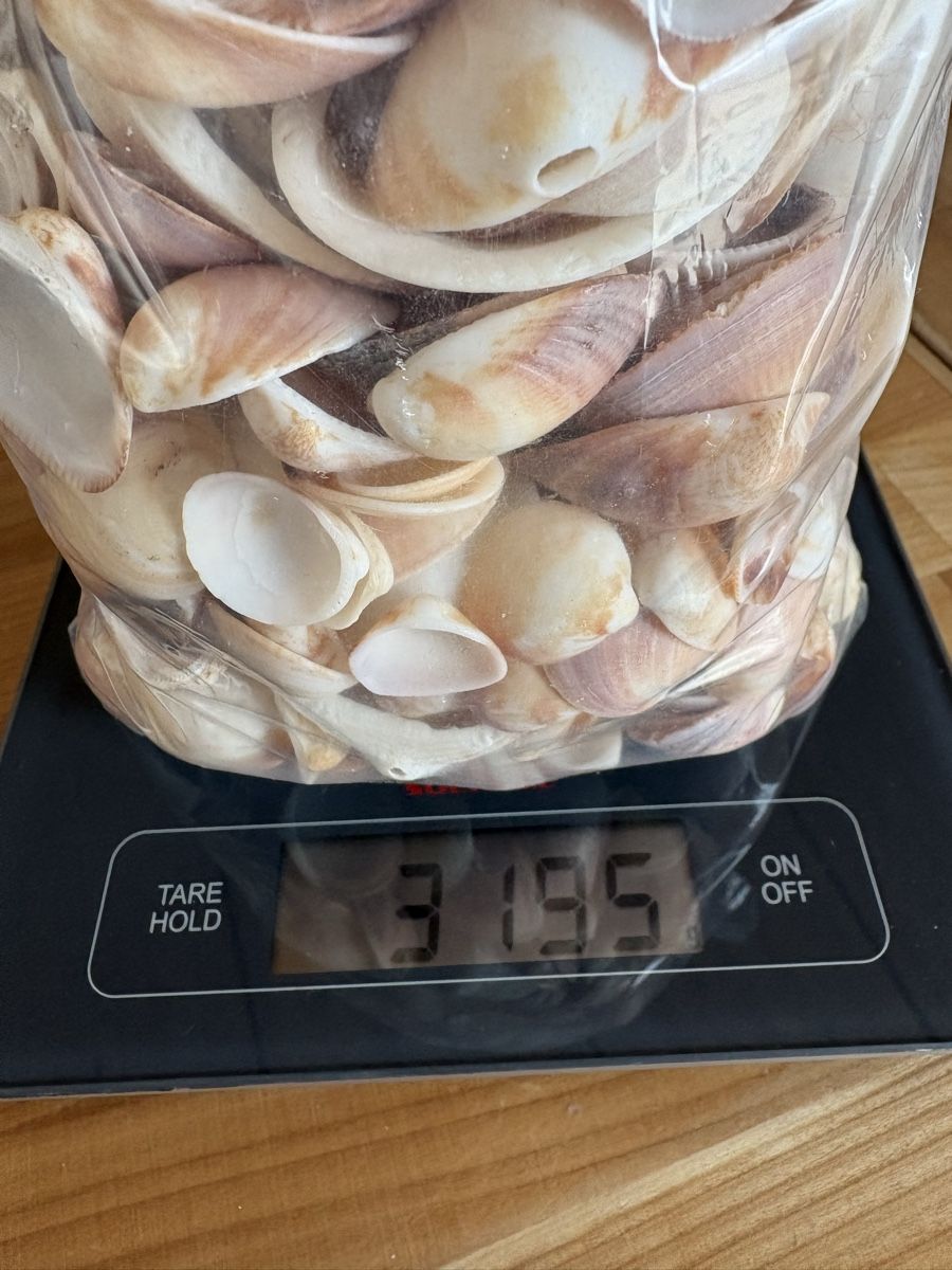 Tutte le decorazioni: über 3 kilo Muscheln – Usato da Rümlang venduto da resale35 5
