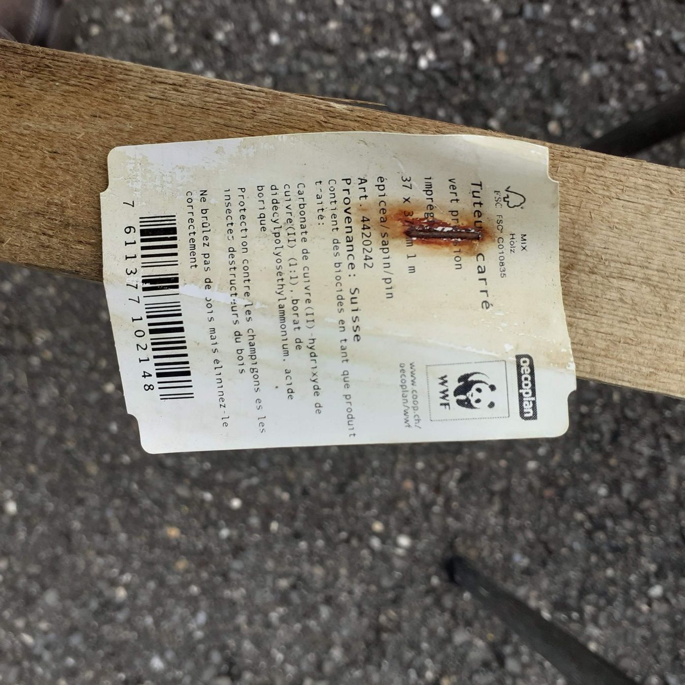 Articoli in legno: Holzpfähle 100 Stk – Nuovo (secondo la descrizione) da Lugnorre venduto da Sagua1566 2