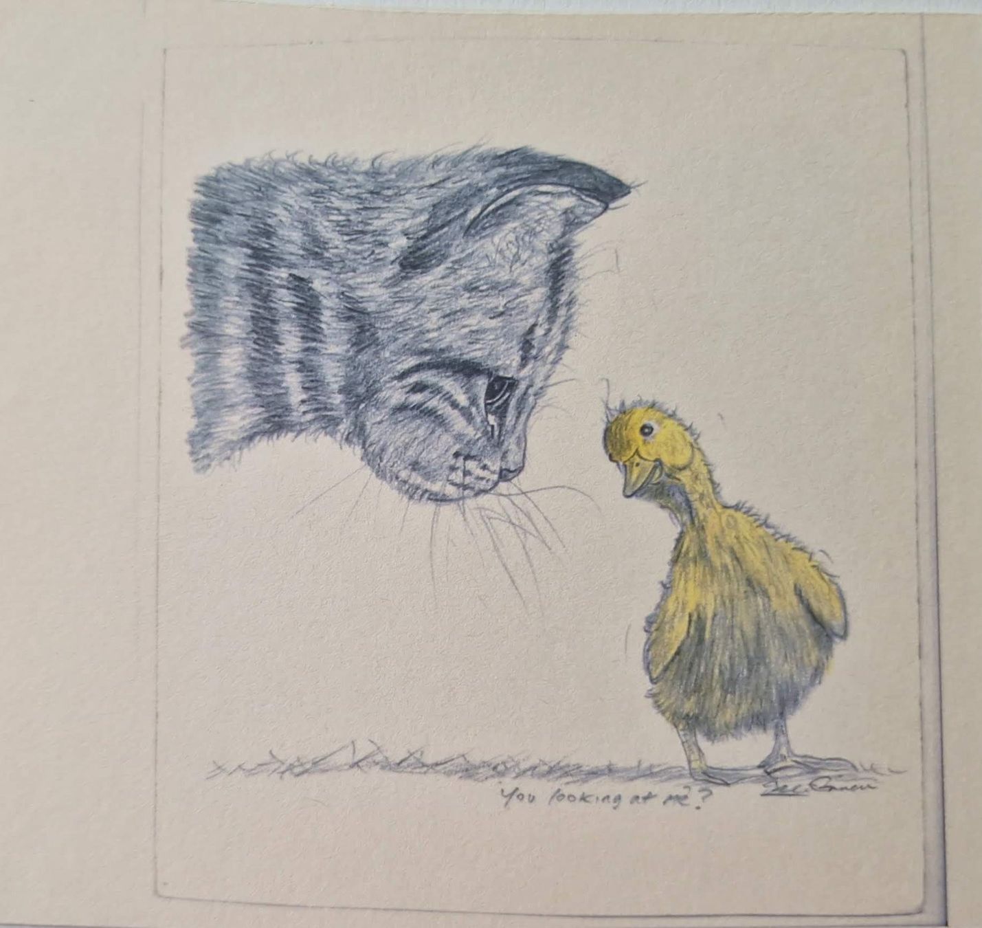 Dipinti: Dessin au crayon  -  chat et caneton – Usato da Münchenbuchsee venduto da capa2014 1