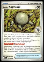 Antikes Kopffossil (PBL DE 073/084)