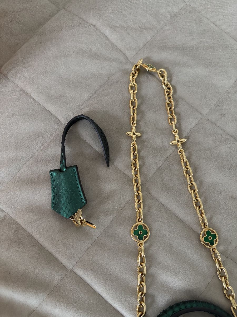 Louis Vuitton Taschen für Damen: Louis Vuitton cappucin Python  – Neu und originalverpackt aus Giebenach von Su99 5