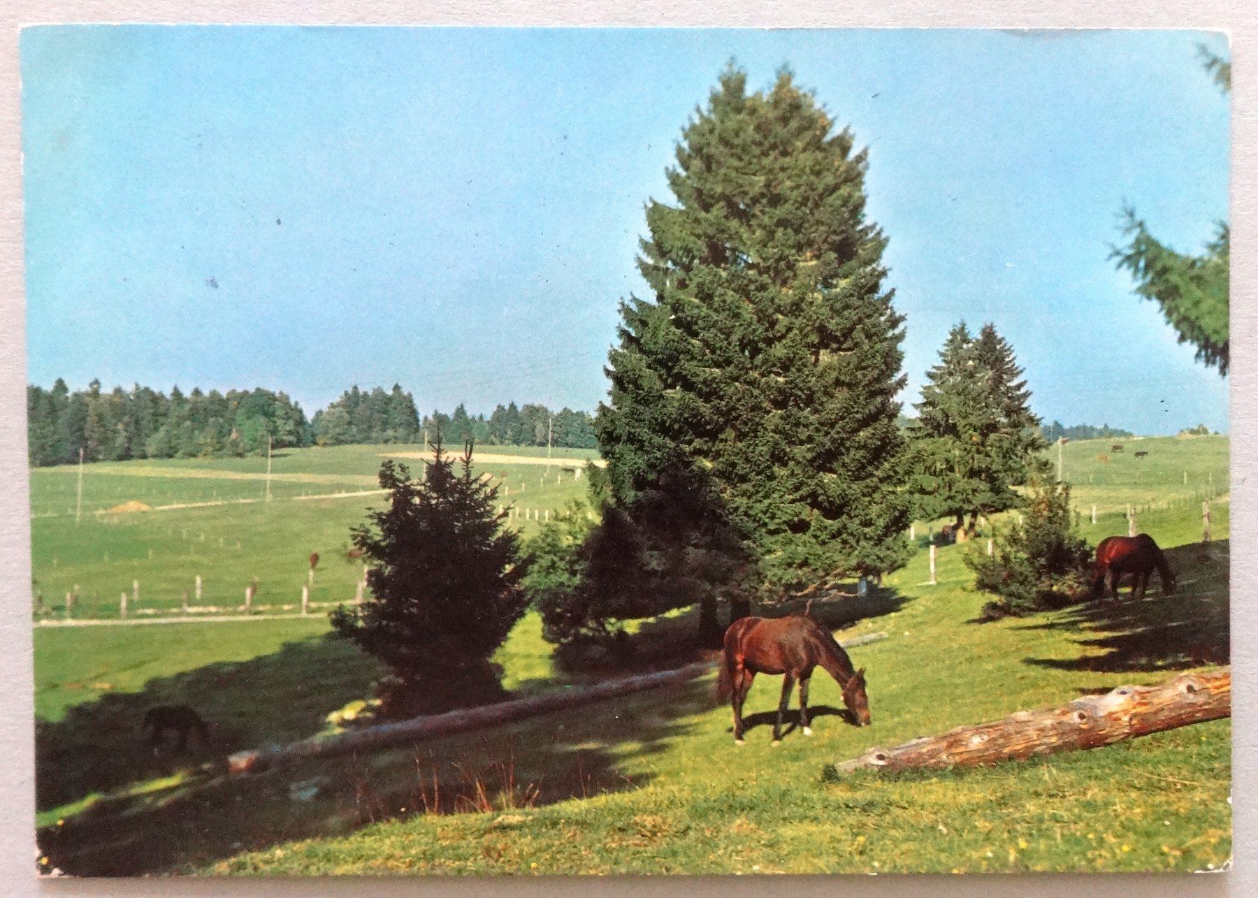 Cartes postales: Les Franches Montagnes – D'occasion à Fétigny par Billy2miny