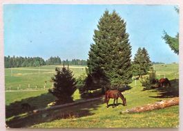 Les Franches Montagnes