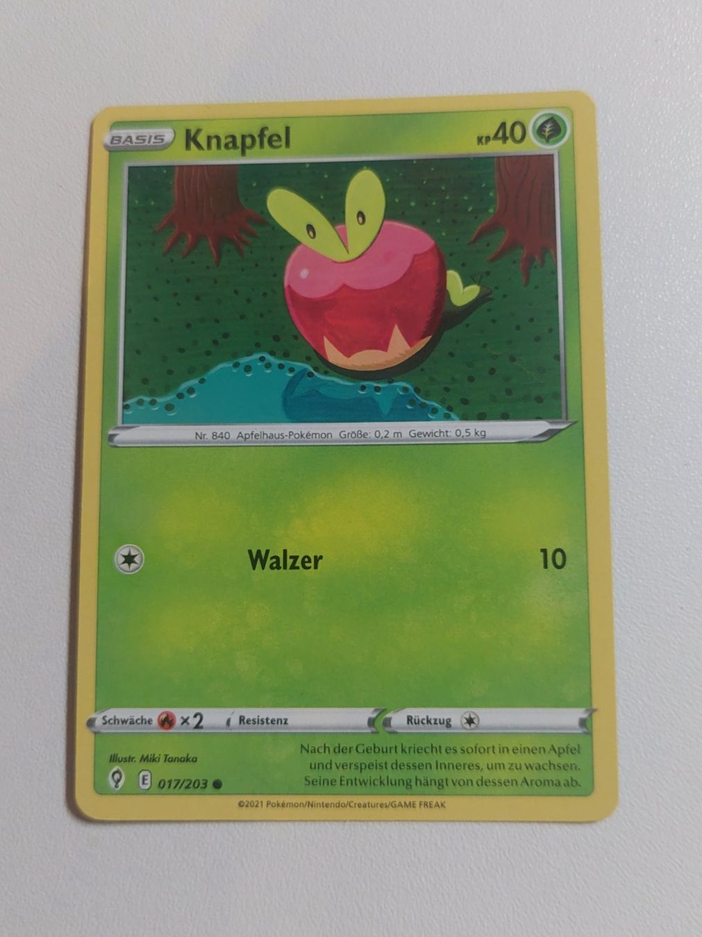 Pokémon Carte collezionabili: Knapfel Pokemon Karte – Usato da Erlinsbach venduto da pfunky