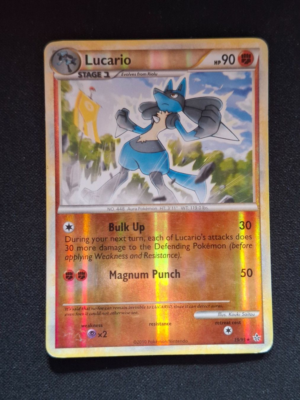 Pokémon Carte collezionabili: Pokemon Lucario Reverse Rare 19/95 Unleashed – Usato da Gammen venduto da Karbax