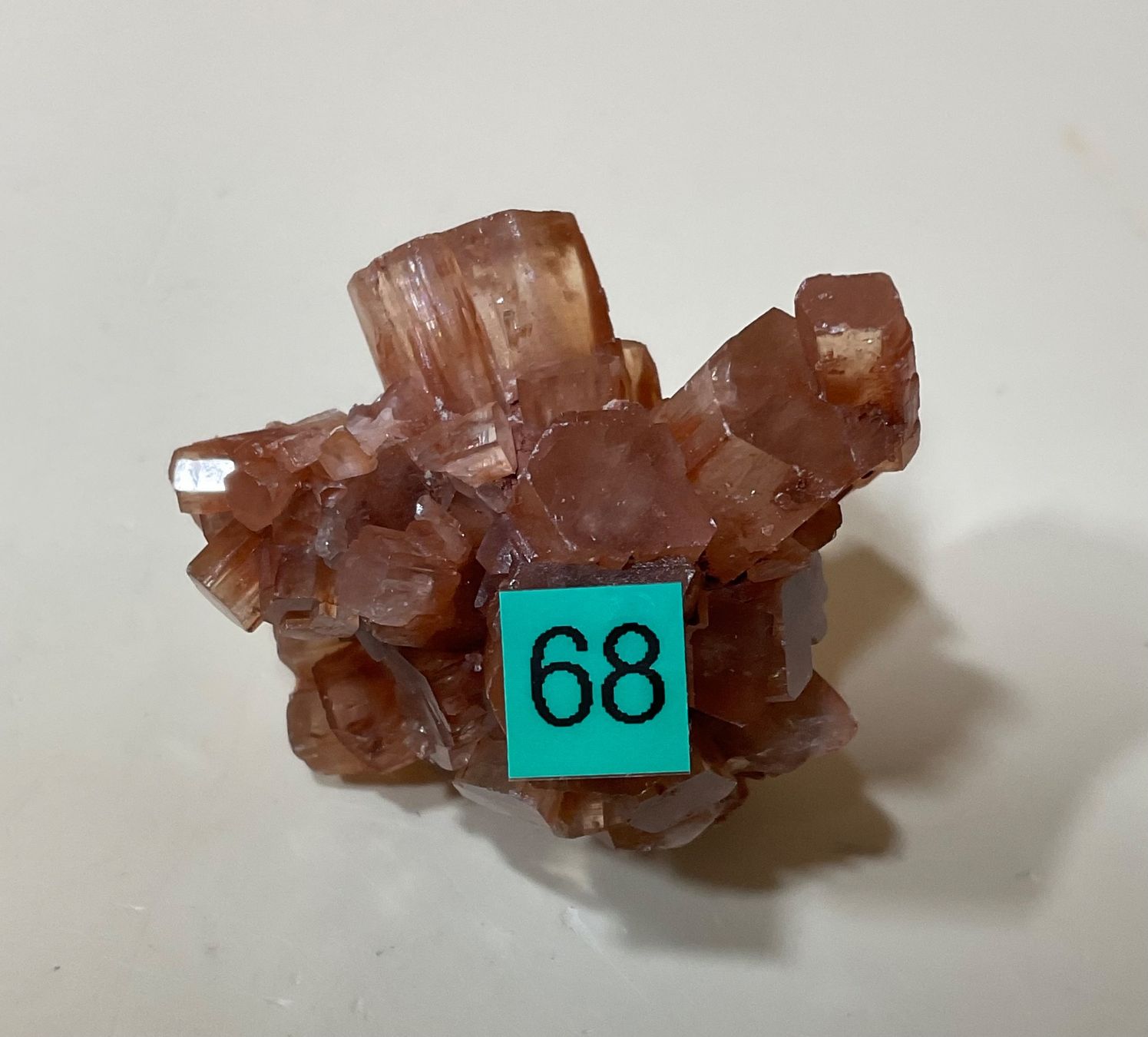 Minerali & Pietre curative: Aragonit Kristall Roh aus Marokko – Nuovo (secondo la descrizione) da Gibswil venduto da BestePreis 2