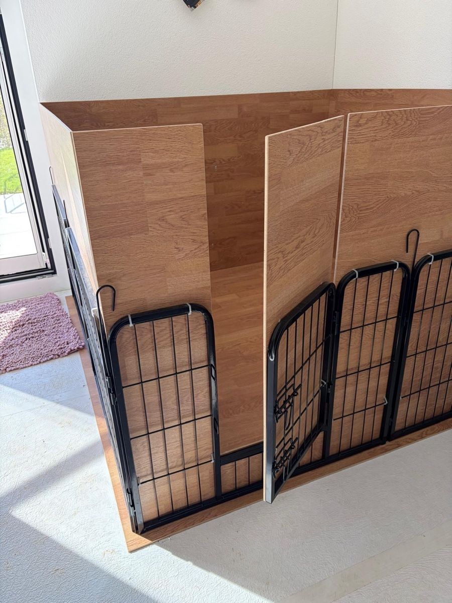 Box & Barriere di sicurezza: Welpengitter – Usato da Steinach venduto da cmaa 1