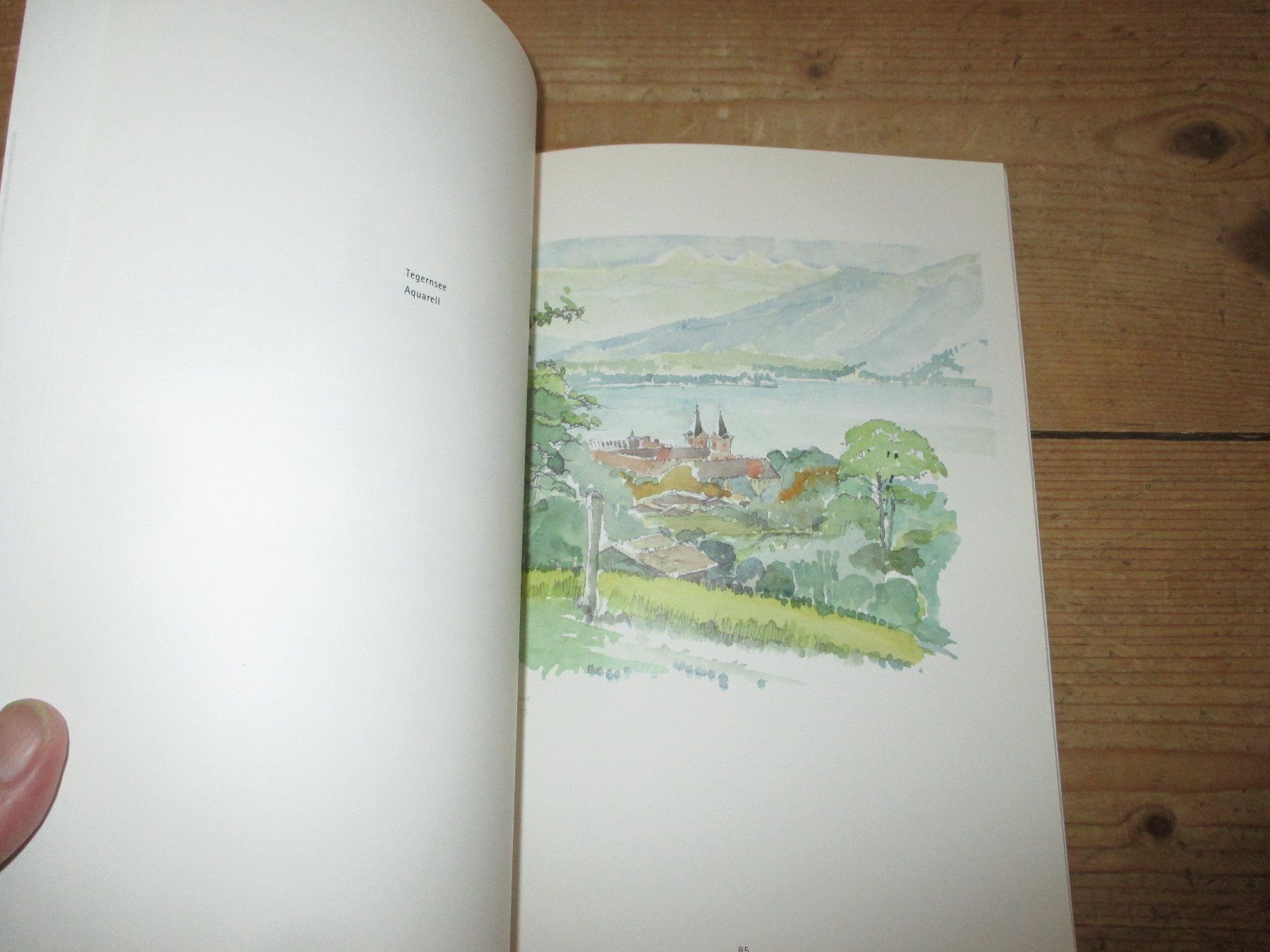 Libri: Der Architekt Alexander von Branca – Usato da Flims - Dorf venduto da Stagediver 7
