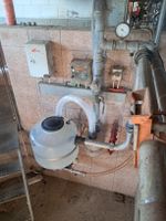 2×4 Happel Melkstand 
