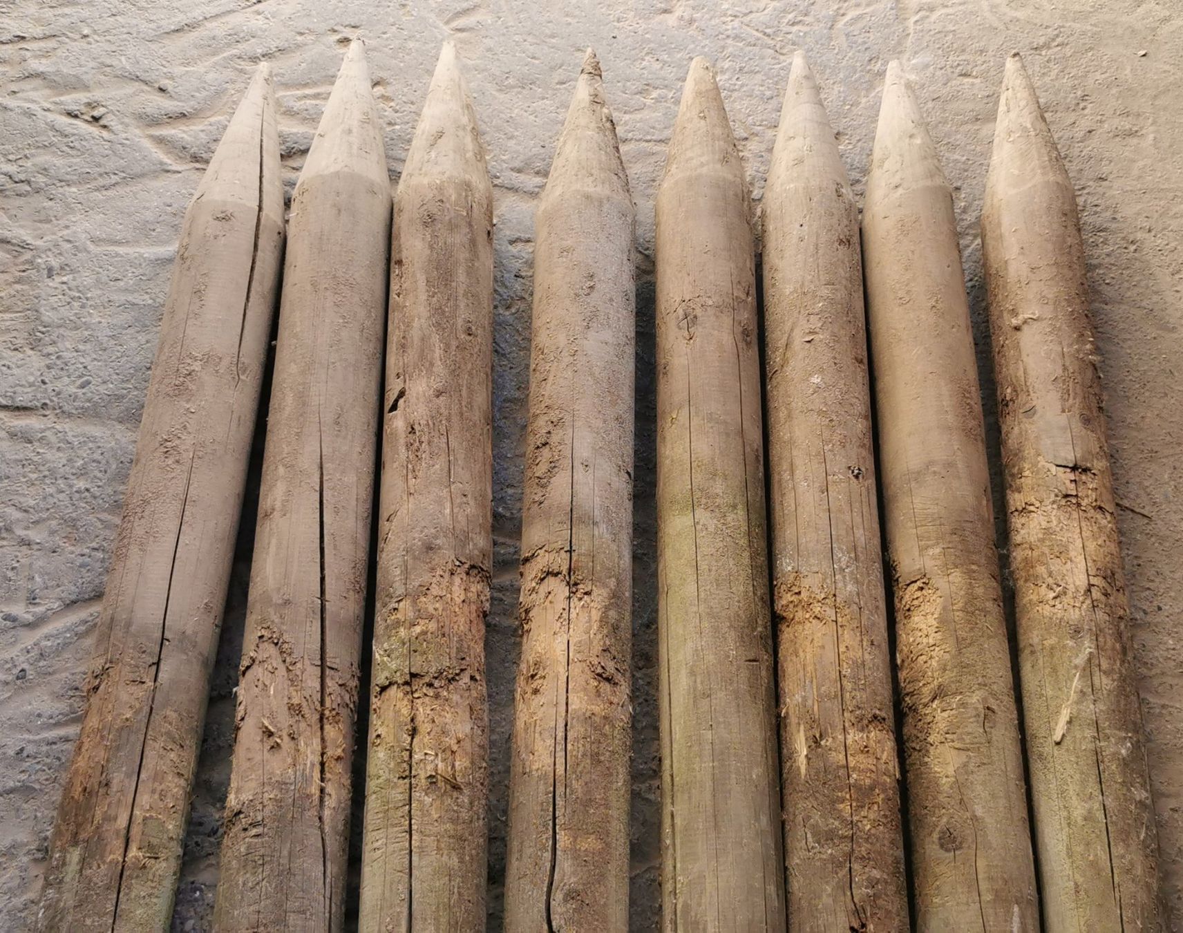 Articoli in legno: 8 Holzpfähle angespitzt rund gebraucht – Usato da Bremgarten b. Bern venduto da Vittorio0 2