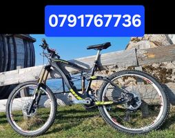 Wheeler Raptor  LTD Carbon Mountainbike