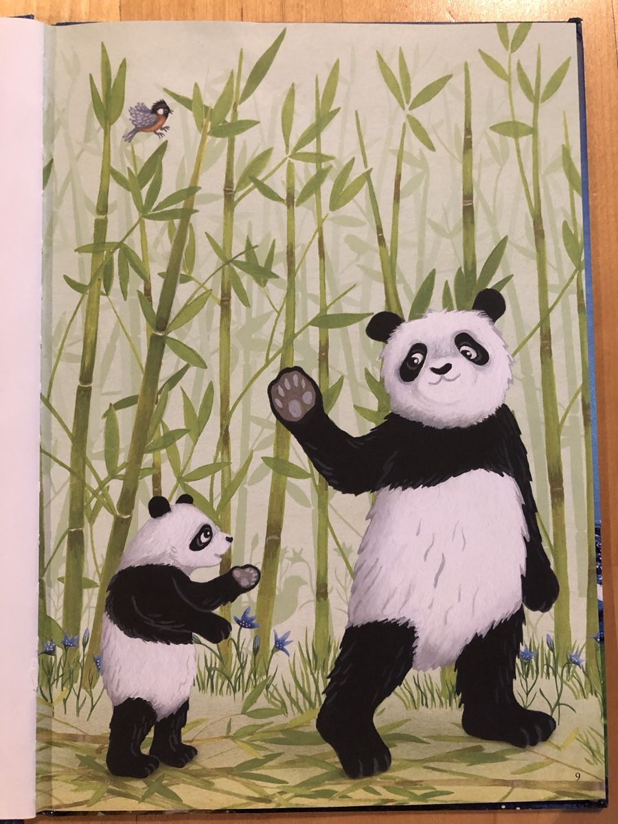 Libri: Pandas grosse Reise – Usato da Kappel SO venduto da Fabruzzi 3