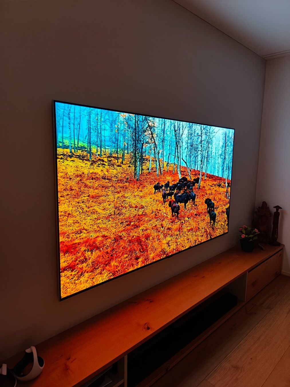 LG Appareils TV: LG Oled 83Zoll G4 – D'occasion à Zell LU par landolt4 4