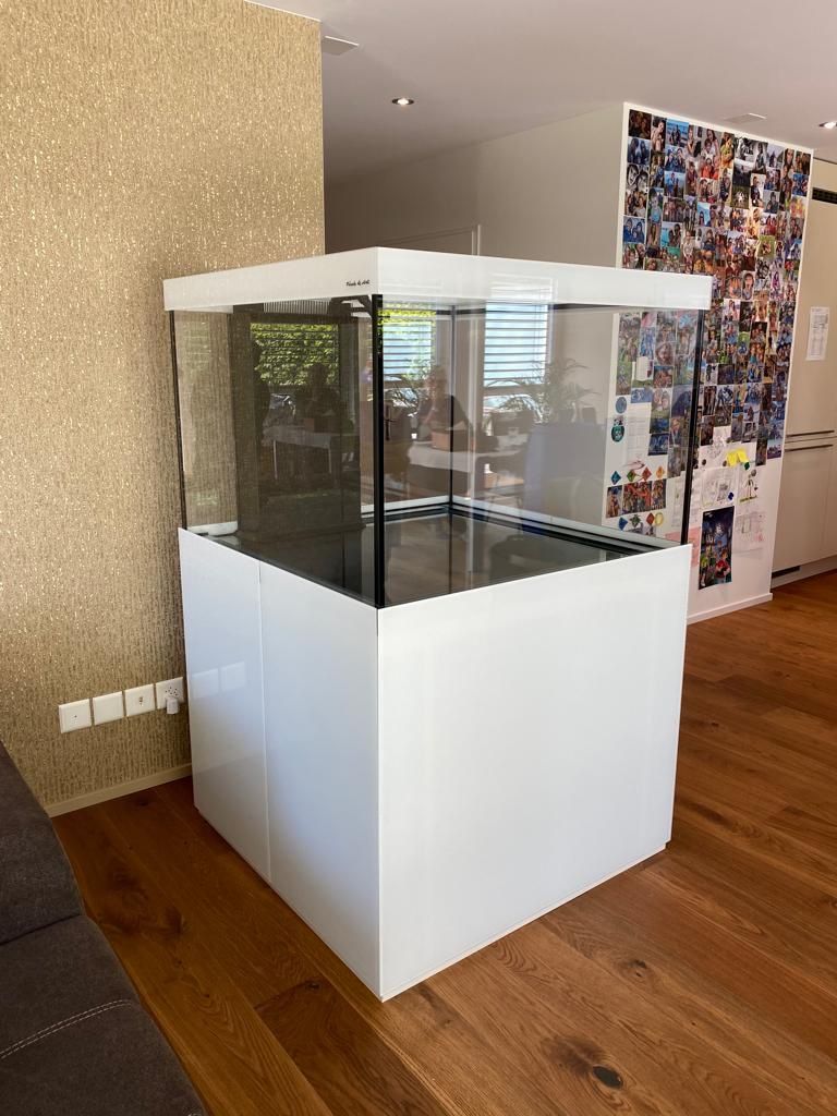 Acquari: Meerwasser Aquarium 100x100x70 – Nuovo (secondo la descrizione) da Berikon venduto da fischundart 2