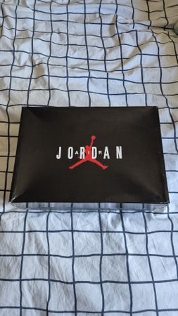 Jordan 11 Retro Concord (2018)