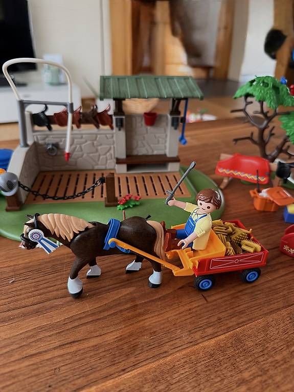 Giocattoli: Playmobil Pferde Set – Usato da Hondrich venduto da leylannika 3