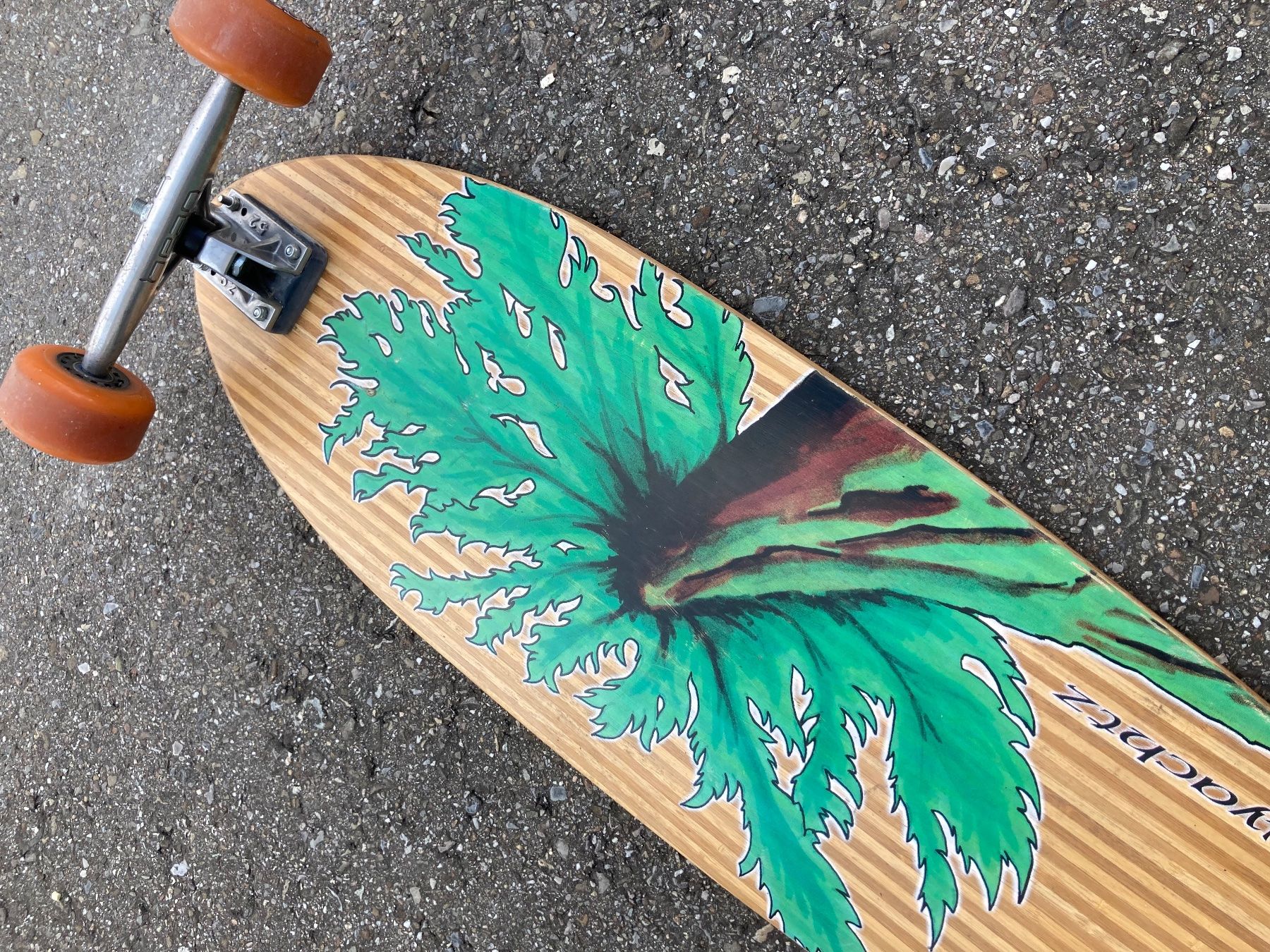 Skateboards: Long Board – Usato da Staffelbach venduto da Livere 3