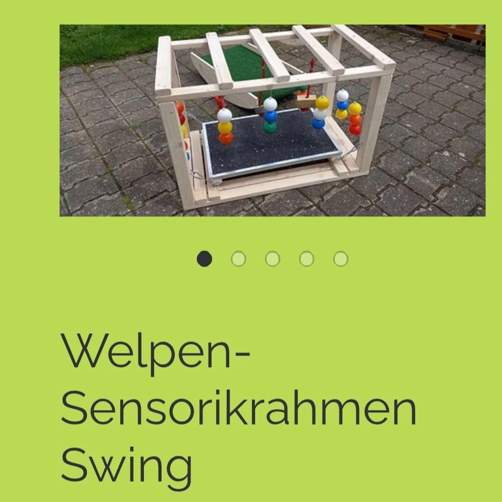 Spielzeuge: Welpenspielgeräte – Neu (gemäss Beschreibung) aus Schaanwald von Gismo034 6