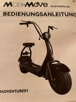 Elektro Scooter Top Zustand,---