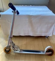 Robuster Micro Scooter