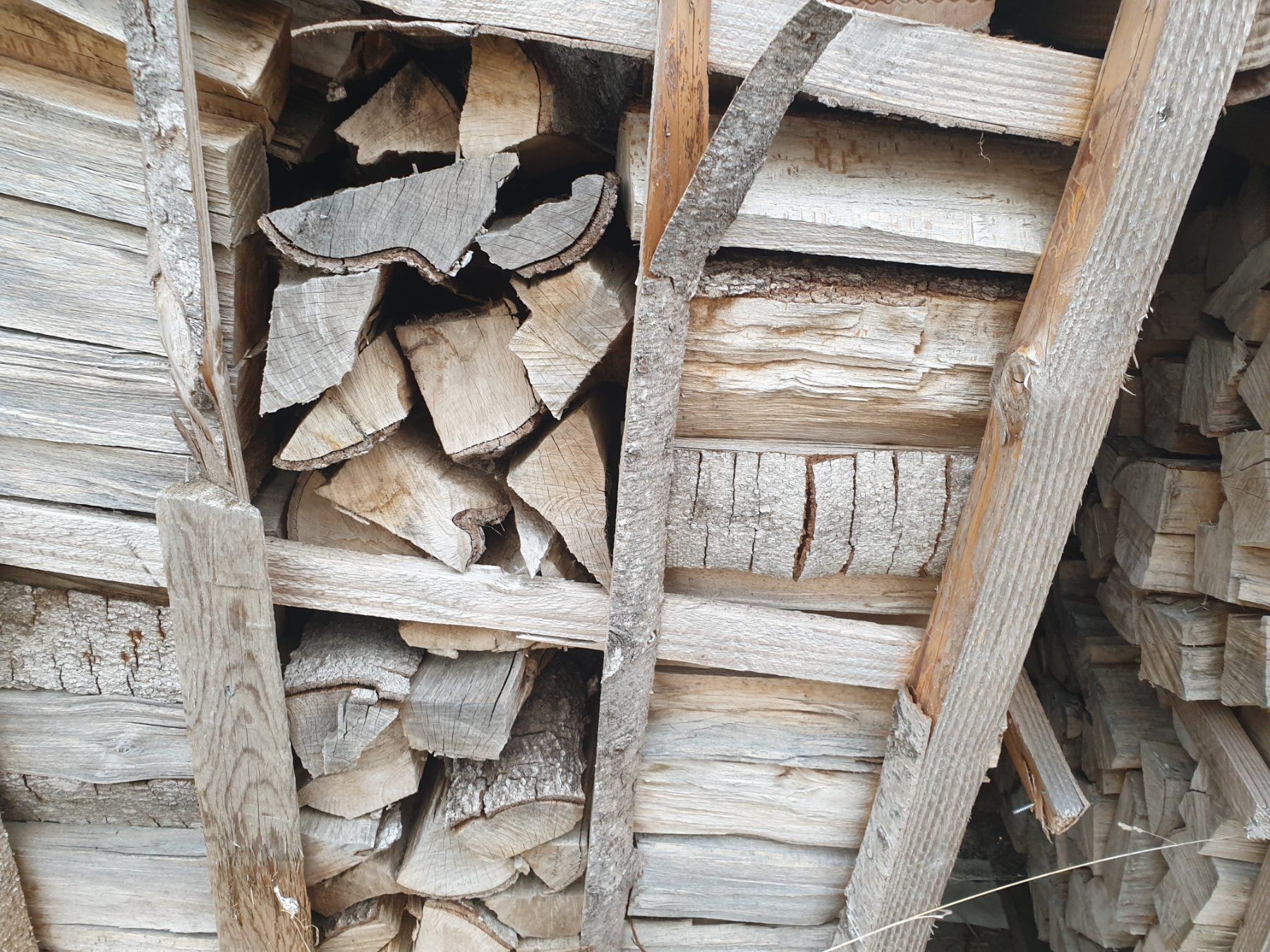 Articoli in legno: Buche Tanne Brennholz – Nuovo e nell'imballaggio originale da Ufhusen venduto da Caliban86 2